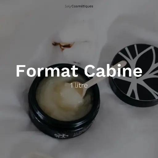 [B2B-CAB-VN001L-X01] La Gelée Démaquillante 1 litre - Format Cabine